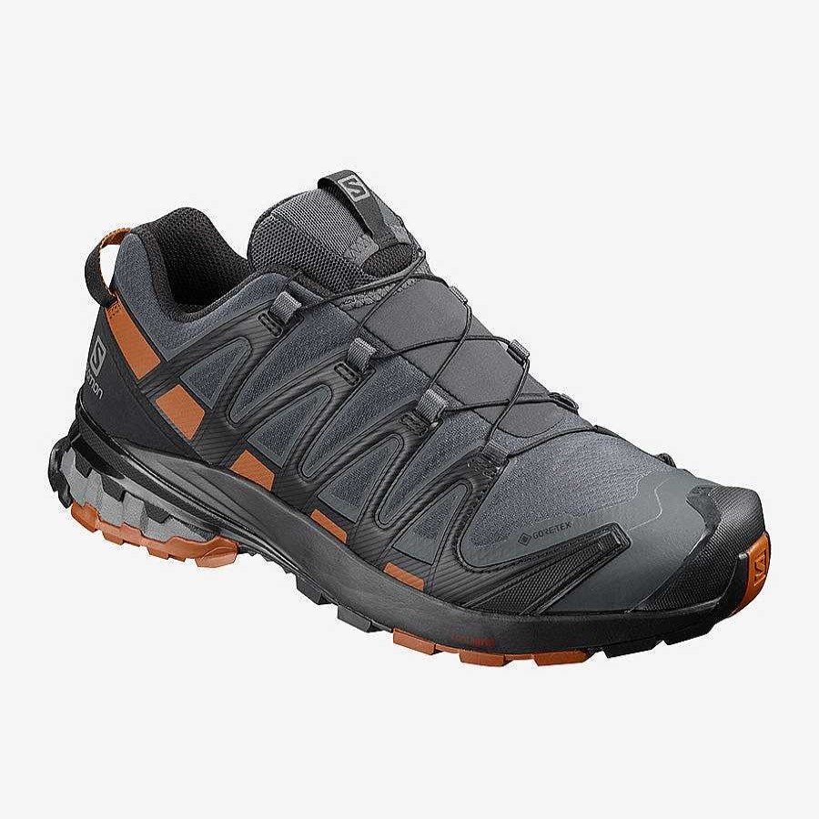 Schuhwerk Salomon Schuhe | Xa Pro 3D V8 Gore-Tex Fur Herren Ebenholz/Karamell-Cafe